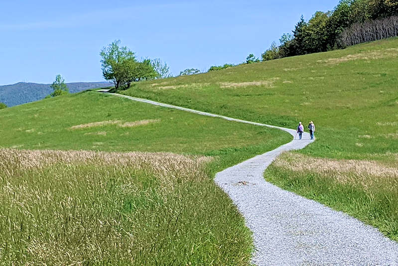 Mose Cone Park Trail